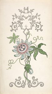 Progetto per decorazione di pannelli centrata su un fiore della passione da J Hulme