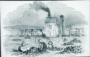 Rottura e Smistamento dei Minerali di Rame da 