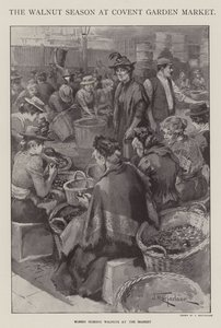 La stagione delle noci a Covent Garden Market, Londra da J. Macfarlane