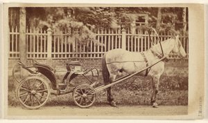 [Piccola carrozza con cavallo]