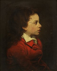 Il figlio dell