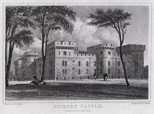 Castello di Enmore, Somersetshire da John Preston Neale