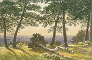 Hampstead Heath, Londra