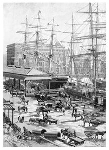 Navigazione, Circular Quay, Sydney, Nuovo Galles del Sud, Australia da J. R. Ashton