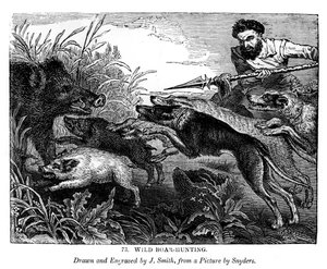 Caccia al cinghiale da J. Smith