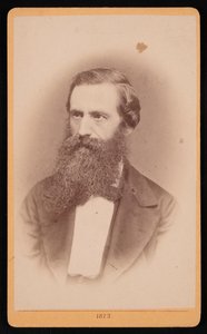 Ritratto di Mordecai Cubitt Cooke 1825-1914, 1873 da J Stegmann