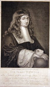 Sir Isaac Newton da J. T. Wedgewood