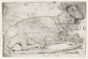 Capra sdraiata da Jabes Heenck (signed by artist)