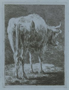 Mucca in un paesaggio da Jabes Heenck