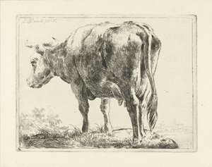 Mucca in piedi da Jabes Heenck
