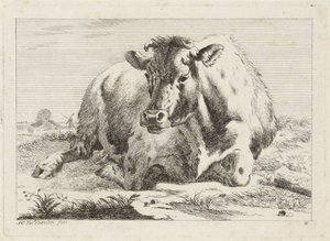 Mucca sdraiata