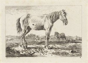 Cavallo in piedi in un paesaggio da Jacob Elias van Varelen