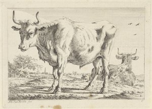 Bue in piedi e sdraiato da Jacob Elias van Varelen