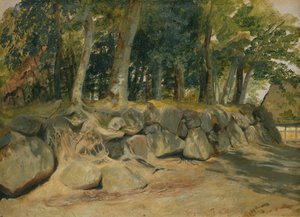 Il muro di pietra a Sottorf, 1839 da Jacob Gensler