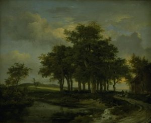 Querce vicino a una strada, sera