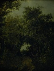 Strada in una foresta di querce da Jacob van Ruisdael