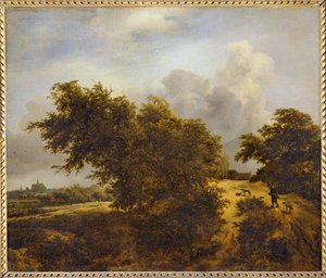 Sentiero tra le dune di Haarlem o Le Buisson ...