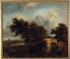 Il bosco da Jacob van Ruisdael