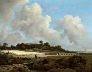 Veduta di campi di grano con una città lontana