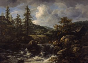 Paesaggio boscoso con cascata