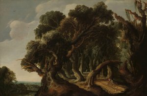 Paesaggio boscoso da Jacob Jacobsz van Geel (signed by artist)
