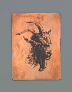 Testa di un caprone da Jacob Maris