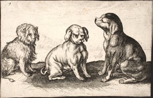 Tre piccoli cani da Jacob Matham