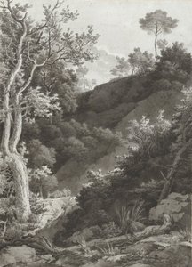 Pendio boscoso da Jacob Philipp Hackert