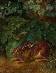 Tedesco: Lepre tra i cespugli da Jacob Philipp Hackert