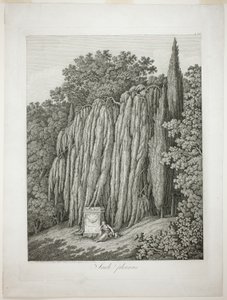 Salice piangente da Jacob Philipp Hackert