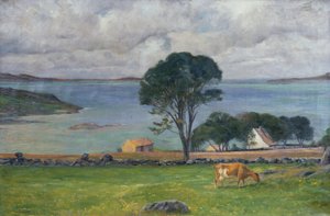 Mucche nel paesaggio