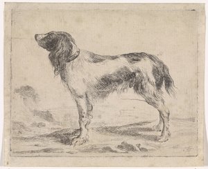 Cane in piedi (Cani) da Jacob Toorenvliet
