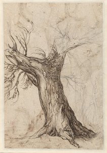 Albero di castagno con alcuni alberi intorno da Jacob de Gheyn (II)