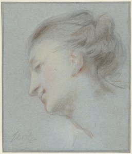 Testa di donna, profilo sinistro, rivolta verso il basso