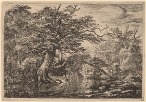 Una Palude nella Foresta con Viaggiatori su una Sponda da Jacob van Ruisdael