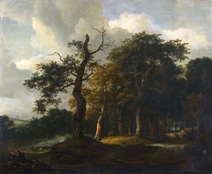 Una strada attraverso un bosco di querce