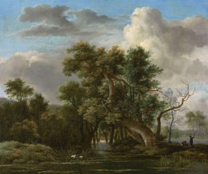 Una piscina nel bosco da Jacob van Ruisdael
