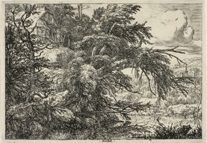 Cottage in cima a una collina da Jacob van Ruisdael