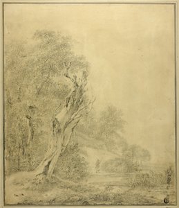 Albero morto in riva al mare, figura che si avvicina con un palo da Jacob van Ruisdael