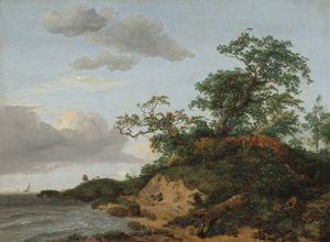 Dune sul mare da Jacob van Ruisdael