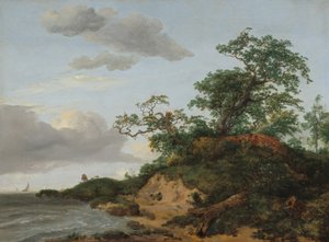 Dune vicino al mare, 1648 da Jacob van Ruisdael