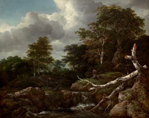 Scena di foresta