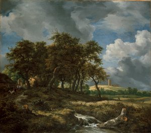 Paesaggio vicino a Muiderberg, primi anni 1650 da Jacob van Ruisdael