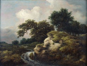 Paesaggio con Duna e Piccola Cascata da Jacob van Ruisdael