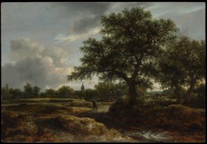 Paesaggio con un Villaggio in Lontananza da Jacob van Ruisdael