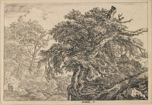  da Jacob van Ruisdael