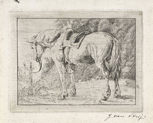Cavallo sellato legato a un palo da Jacob van Strij