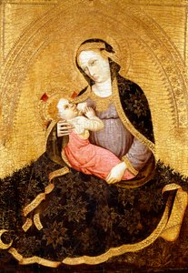 La Madonna dell