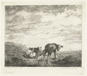 Tre vitelli da Jacobus Cornelis Gaal (signed by artist)