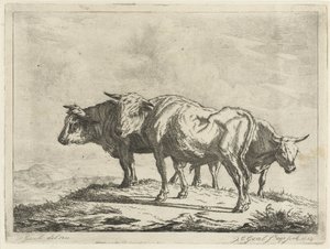 Tre buoi da Jacobus Cornelis Gaal